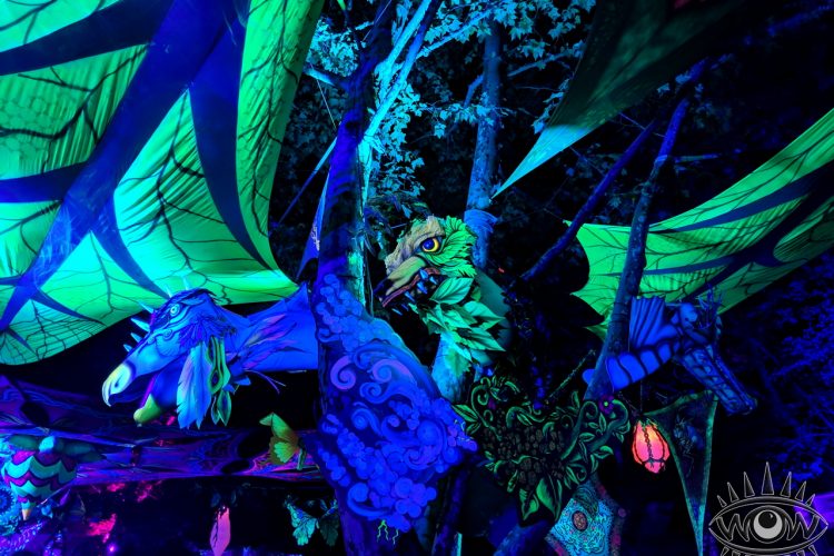 instalaciones de arte alucinantes dragones mágicos bosque de noche