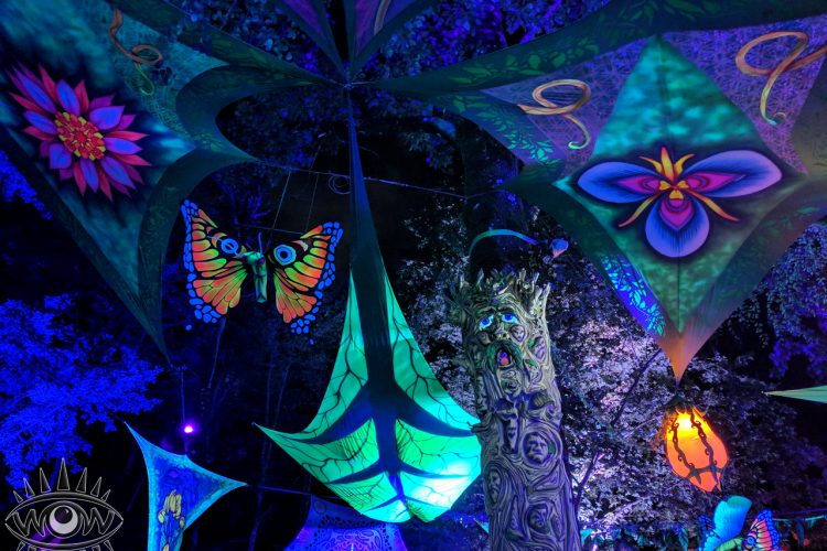 Freedom Festival pista de baile en un bosque encantado