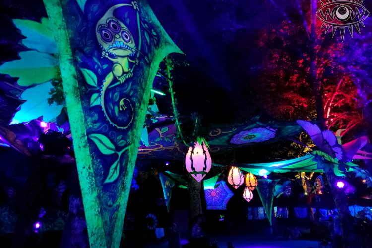 eventos atmosféricos bosque encantado de noche